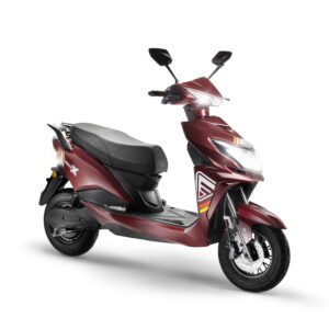 REX POWER PLUS [ MAROON ]